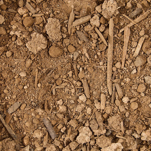 Close-up of soil with various particles and organic matter