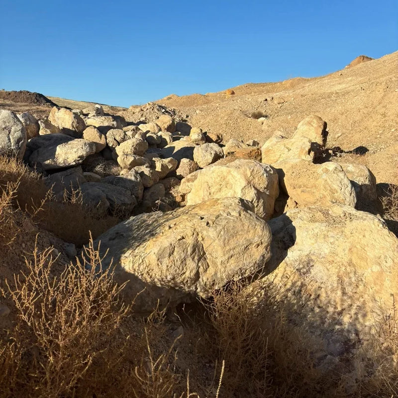 Boulders and dry vegetation in a desert landscape under a clear blue sky
