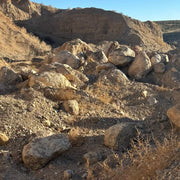 Desert landscape with rocks and sparse vegetation under a clear blue sky