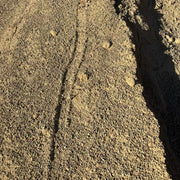 Close up of brown chat from Glenwood