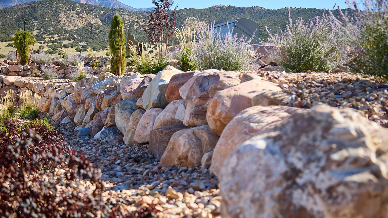 Rock wall with desert plants and mountains in the background