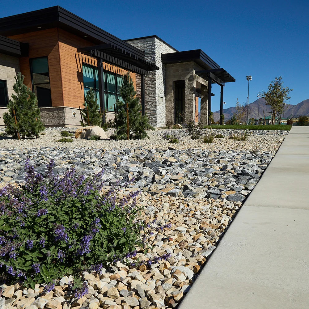 Modern house with a landscaped area featuring rocks, plants, and a sidewalk.
