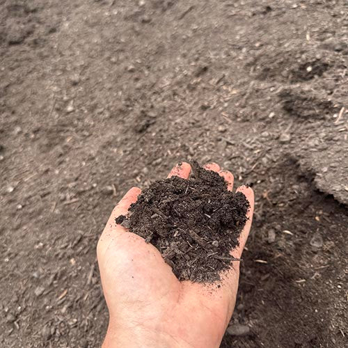 Compost Blend Soil